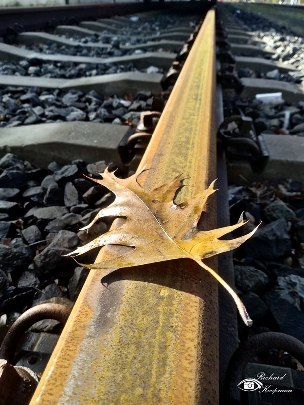 Vertraging door bladeren op het spoor, hoe kan dat?